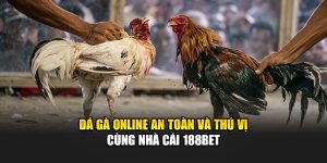 Đá Gà Online An Toàn Và Thú Vị Cùng Nhà Cái 188Bet
