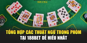 Tổng Hợp Các Thuật Ngữ Trong Phỏm Tại 188Bet Dễ Hiểu Nhất